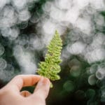 blogueuses naturelles
