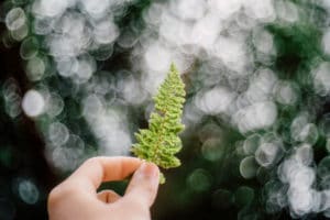 blogueuses naturelles