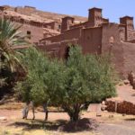 visiter marrakech