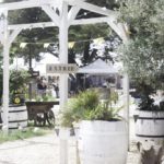 wild summer festival