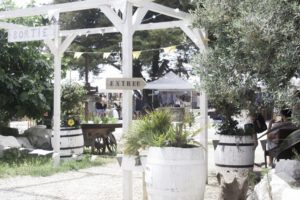 wild summer festival