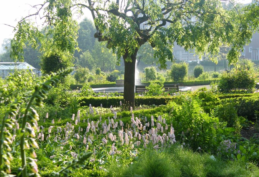 jardins des plantes amiens