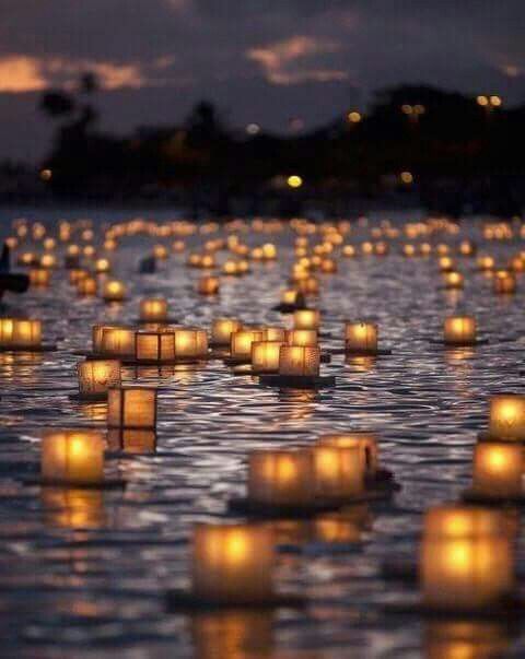 lanternes lumineuses jardin