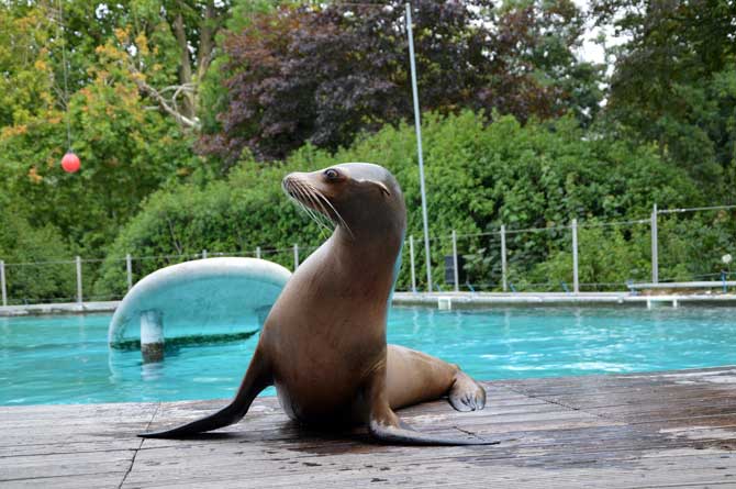 zoo amiens