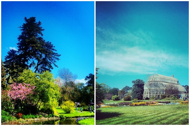 jardins botaniques dublin