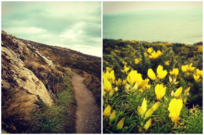 village de howth