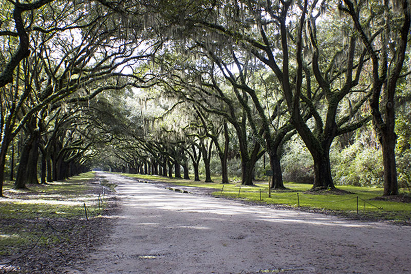 Savannah, georgie